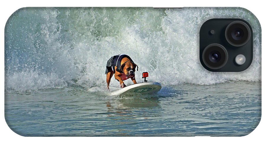 Huntington Beach iPhone Case featuring the photograph Surfing Dog #3 by Thanh Thuy Nguyen