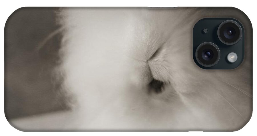 Cutie Cottonball iPhone Case featuring the photograph Sweet Bunny... #2 by The Art Of Marilyn Ridoutt-Greene