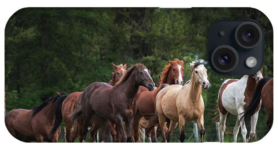 Horses iPhone Case featuring the photograph The Herd #2 by Ryan Courson