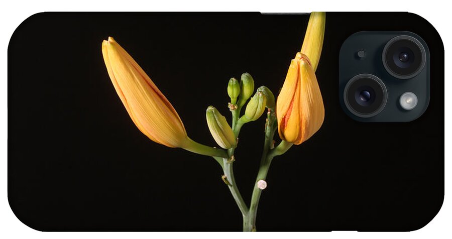 Flora iPhone Case featuring the photograph Tiger Lily Flower Opening Part #2 by Ted Kinsman