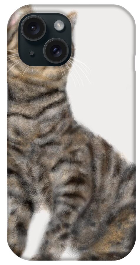 Cat iPhone Case featuring the painting What Did You Say #2 by Lois Ivancin Tavaf