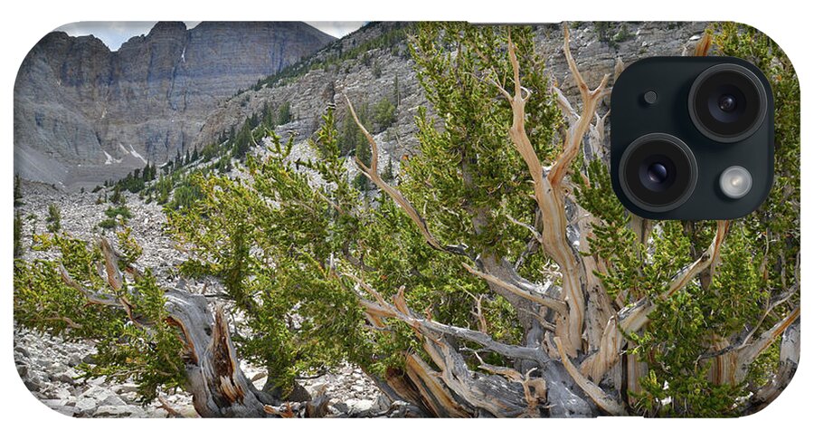 Great Basin National Park iPhone Case featuring the photograph Wheeler Peak Basin #2 by Ray Mathis