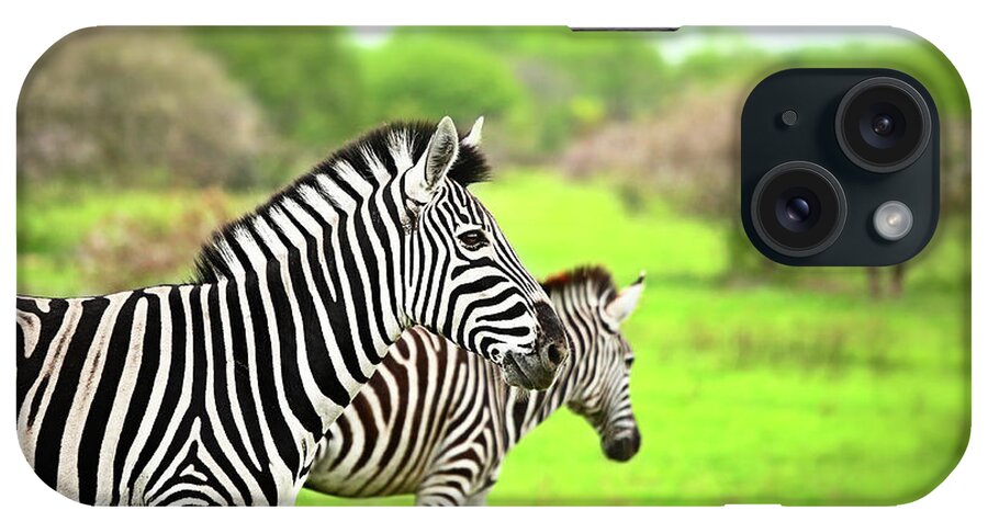 Adventure iPhone Case featuring the photograph Wild zebras of African continent #2 by Anna Om