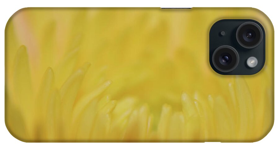 Photograph iPhone Case featuring the photograph Yellow Mum Petals #2 by Larah McElroy