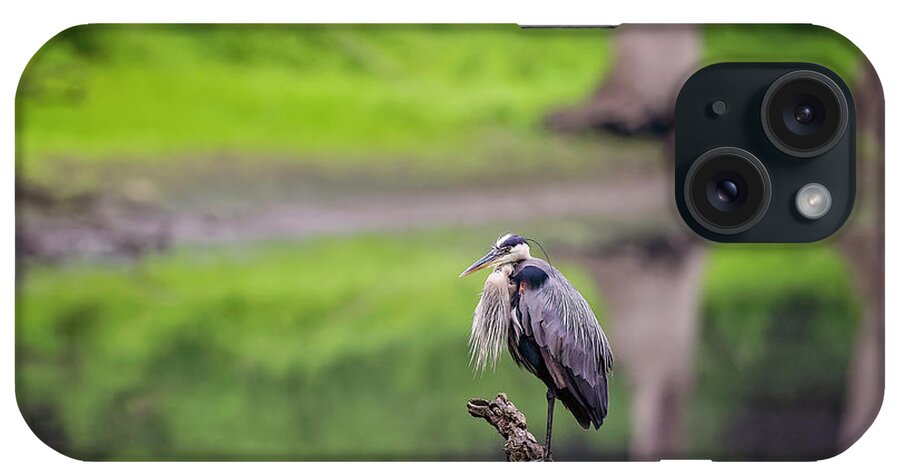 Animal iPhone Case featuring the photograph Blue Heron #20 by Peter Lakomy