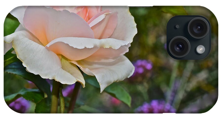 Rose iPhone Case featuring the photograph 2015 Fall Equinox Ivory Rose by Janis Senungetuk