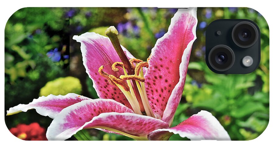 Lily iPhone Case featuring the photograph 2015 Summer at the Garden Late August Event Garden Last Lily by Janis Senungetuk