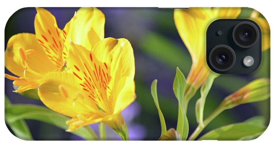 Lilies iPhone Case featuring the photograph 2017 Wild Lilies by Carol Eliassen