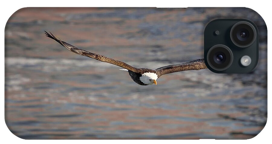 Illinois iPhone Case featuring the photograph Bald Eagle #21 by Peter Lakomy