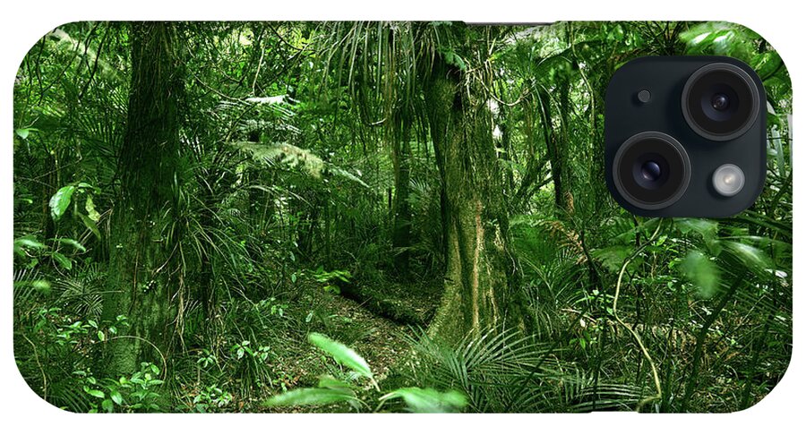 Rain Forest iPhone Case featuring the photograph Jungle 13 by Les Cunliffe