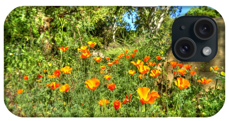 Poppies iPhone Case featuring the photograph Poppies #28 by Marc Bittan