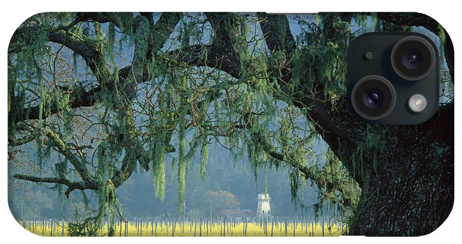 Mustard iPhone Case featuring the photograph 2B6319 Mustard in the Oaks Sonoma Ca by Ed Cooper Photography