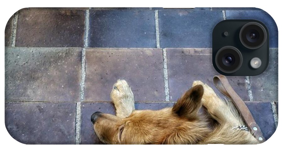 Shepherddog iPhone Case featuring the photograph 2feet And 2vak
#dog #animal #pet by Rafa Rivas