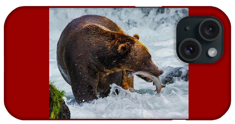 Alaska Brown Bear iPhone Case featuring the photograph Alaska Brown Bear #2 by Norman Hall