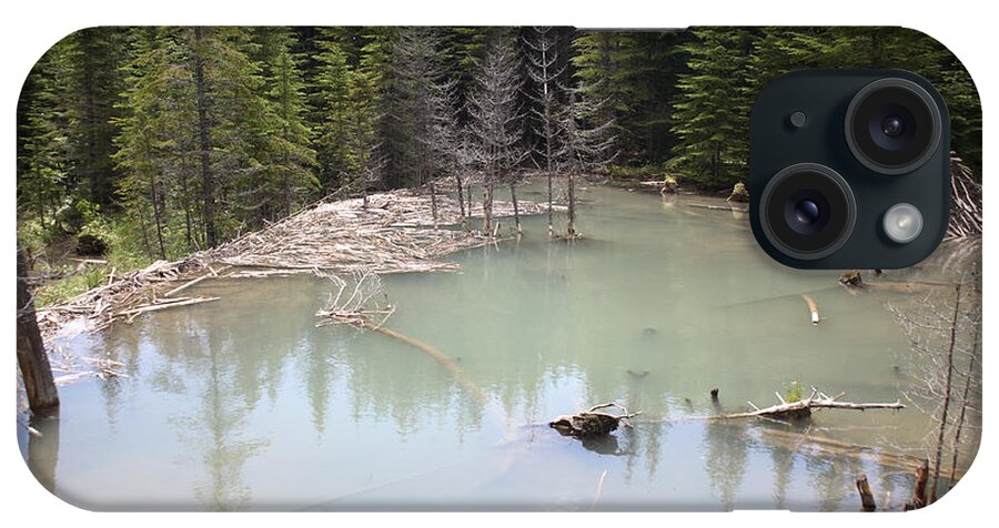 Beaver iPhone Case featuring the photograph Beaver Dam And Lodge #3 by Ted Kinsman