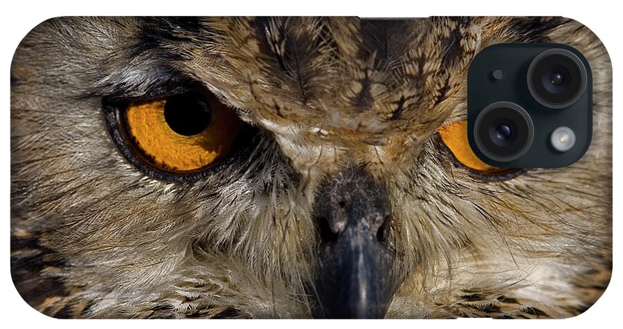 Bengal Eagle Owl iPhone Case featuring the photograph Bengal Eagle Owl #3 by JT Lewis