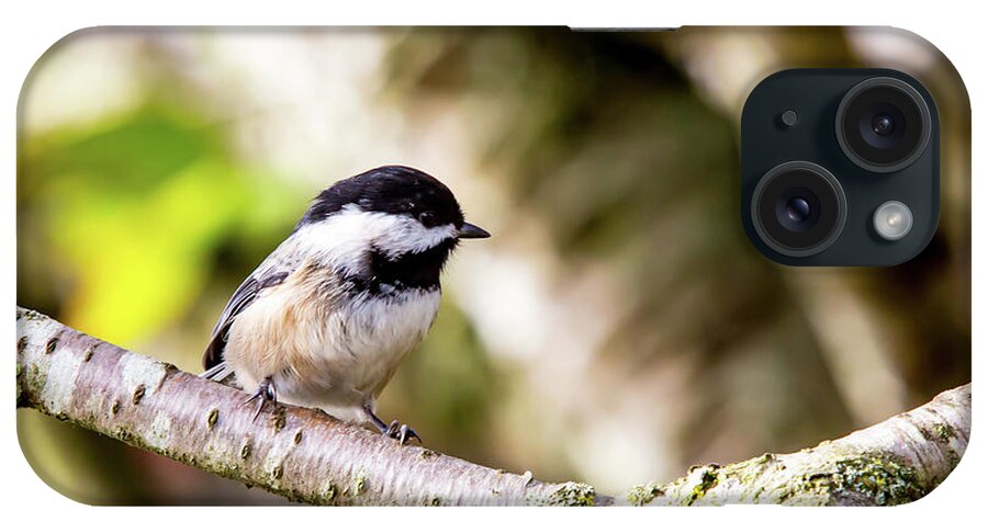 Bird iPhone Case featuring the digital art Black Capped Chickadee #4 by Birdly Canada