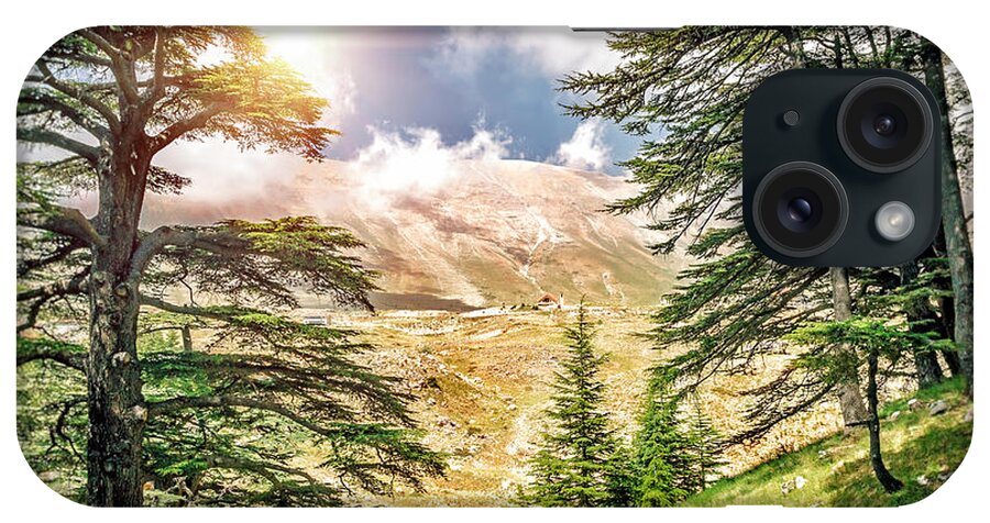 Ceders Libani iPhone Case featuring the photograph Cedars of Lebanon #3 by Anna Om