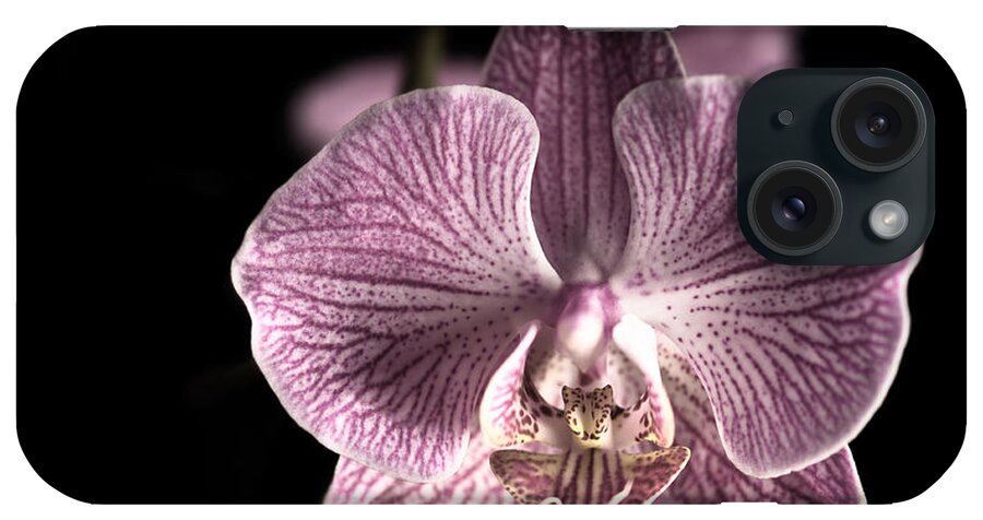 Beautiful iPhone Case featuring the photograph Close up shoot of a beautiful Orchid blossom #3 by U Schade