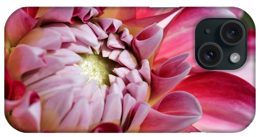 Mccombie iPhone Case featuring the photograph Dahlia named Hawaii #2 by J McCombie