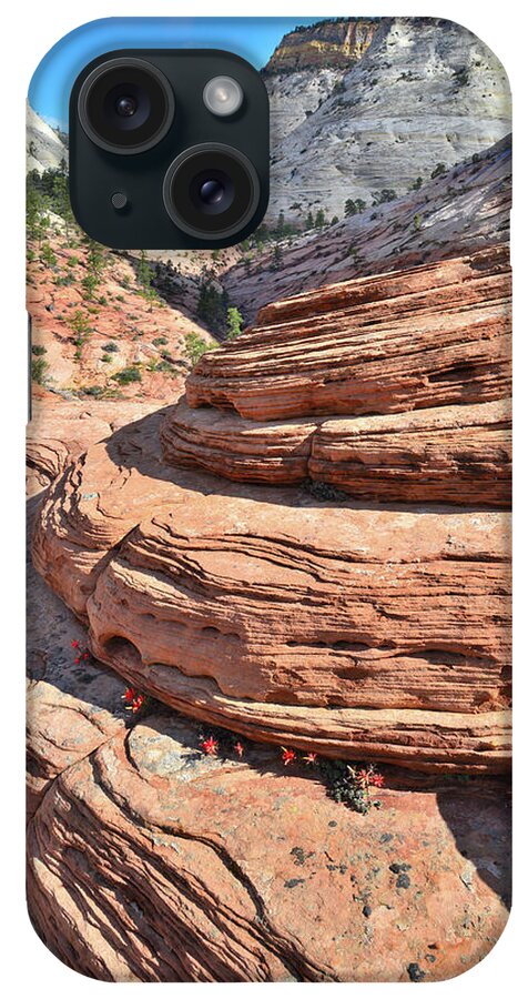 Zion National Park iPhone Case featuring the photograph East Canyon Beehives #3 by Ray Mathis