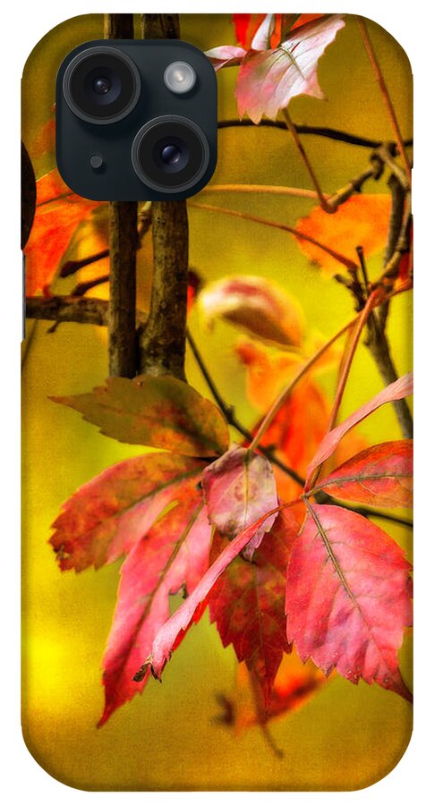 Fall iPhone Case featuring the photograph Fall colors #3 by Eduard Moldoveanu