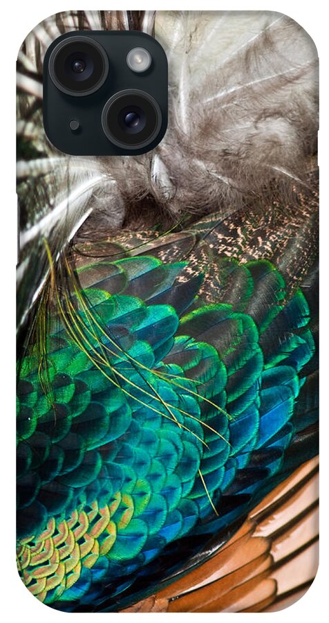 Peafowl iPhone Case featuring the photograph Feathers of the Green Peafowl #3 by Winston D Munnings