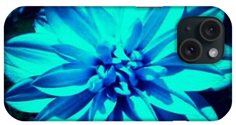 Summer iPhone Case featuring the photograph Flower #3 by Katie Williams