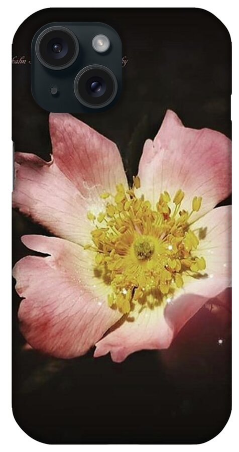 花好きな人と繋がりたい iPhone Case featuring the photograph Flowers #beauty #bokeh #3 by Mika Iwakiri 