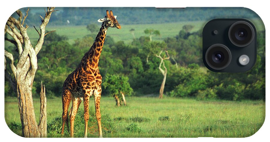 Giraffe iPhone Case featuring the photograph Giraffe #3 by Sebastian Musial