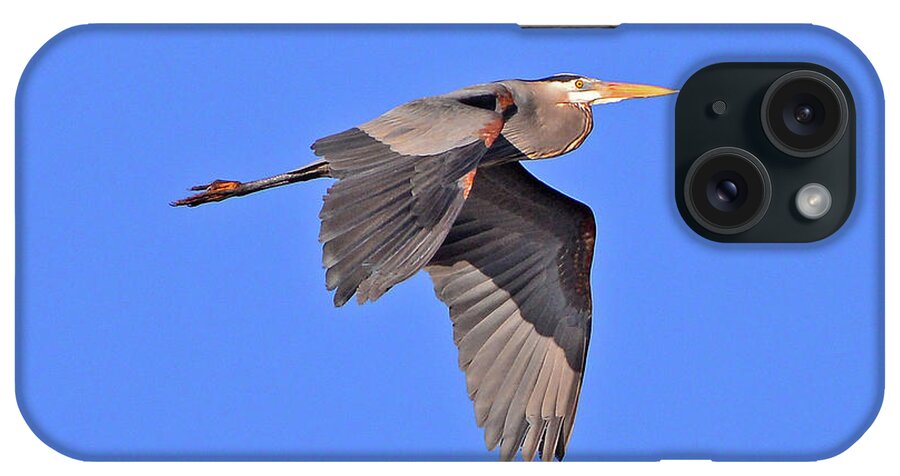 Great Blue Heron iPhone Case featuring the photograph Great Blue Heron #3 by Ken Stampfer
