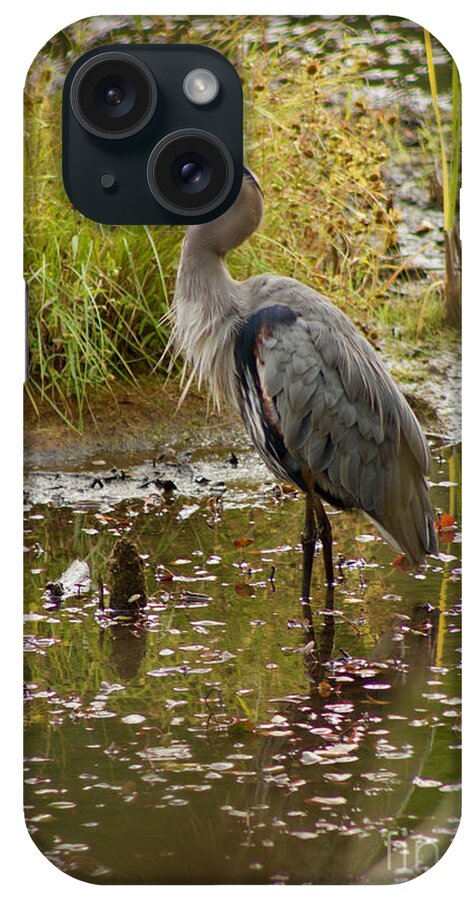 Photography iPhone Case featuring the photograph Great Blue Heron #5 by Sean Griffin