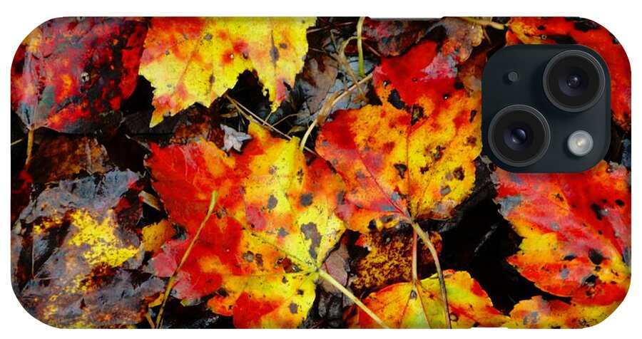 Autumn Landscape iPhone Case featuring the photograph Nature #2 by Leonard Holland