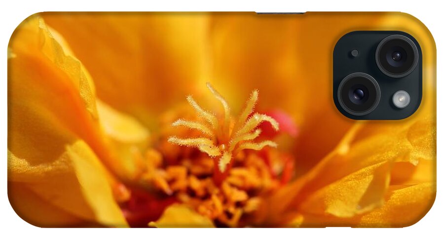 Mccombie iPhone Case featuring the photograph Portulaca named Sundial Gold #5 by J McCombie