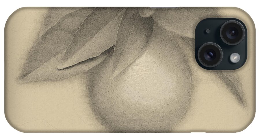 Ripe iPhone Case featuring the photograph Ripe orange on a tree #3 by Ilan Rosen