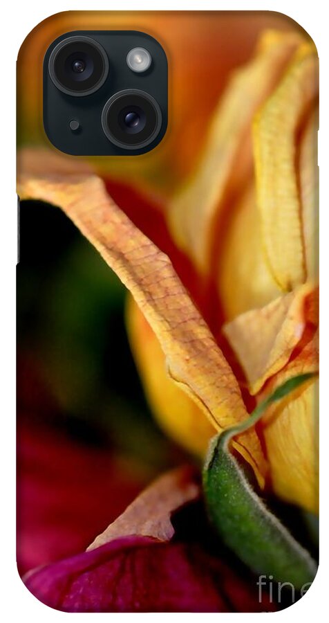 Roses iPhone Case featuring the photograph Roses #3 by Sylvie Leandre