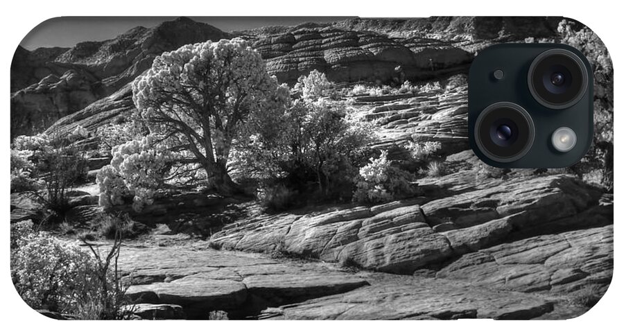 Black And White iPhone Case featuring the photograph Snow Canyon Utah #3 by John Johnson