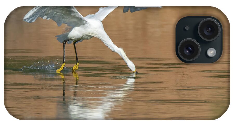Snowy iPhone Case featuring the photograph Snowy Egret Fishing #3 by Tam Ryan