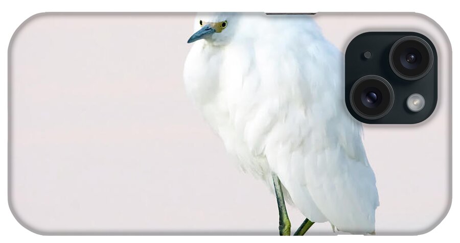 Snowy iPhone Case featuring the photograph Snowy Egret #81 by Tam Ryan