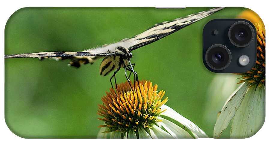 Swallowtail iPhone Case featuring the photograph Swallowtail #3 by Diane Giurco