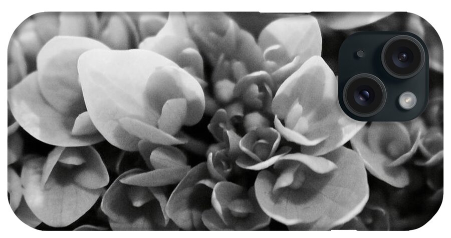 Black And White Flowers iPhone Case featuring the photograph Flowers #34 by Deena Withycombe