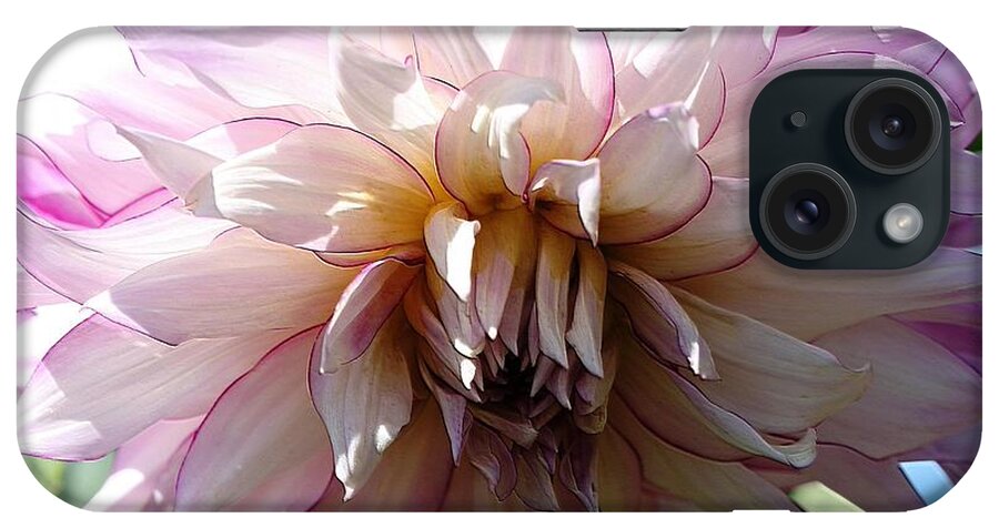 Mccombie iPhone Case featuring the digital art Dahlia named Veca Lucia #3 by J McCombie