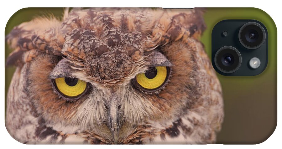 Animal iPhone Case featuring the photograph Great Horned Owl #4 by Brian Cross