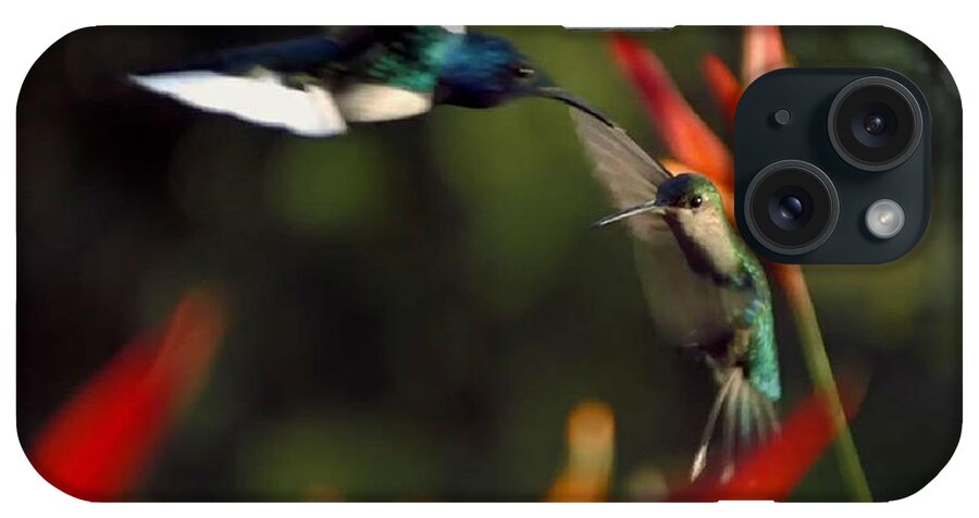 Hummingbirds iPhone Case featuring the digital art Hummingbird #4 by Digital Art Cafe