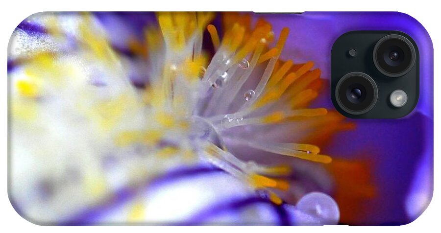 Iris iPhone Case featuring the photograph Iris #4 by Sylvie Leandre