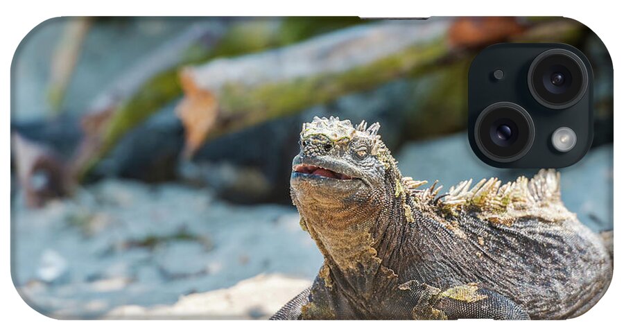 Marine Iguana iPhone Case featuring the photograph Marine Iguana on Galapagos Islands #4 by Marek Poplawski