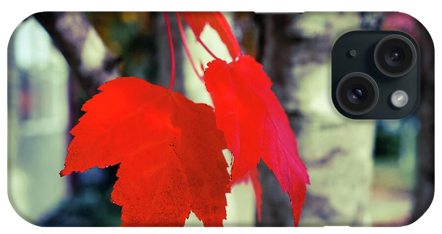 Art iPhone Case featuring the photograph Red #4 by Ronda Broatch