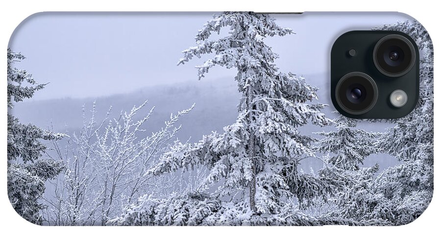 Rhime Ice iPhone Case featuring the photograph Rhime Ice Highland Scenic Highway #4 by Thomas R Fletcher