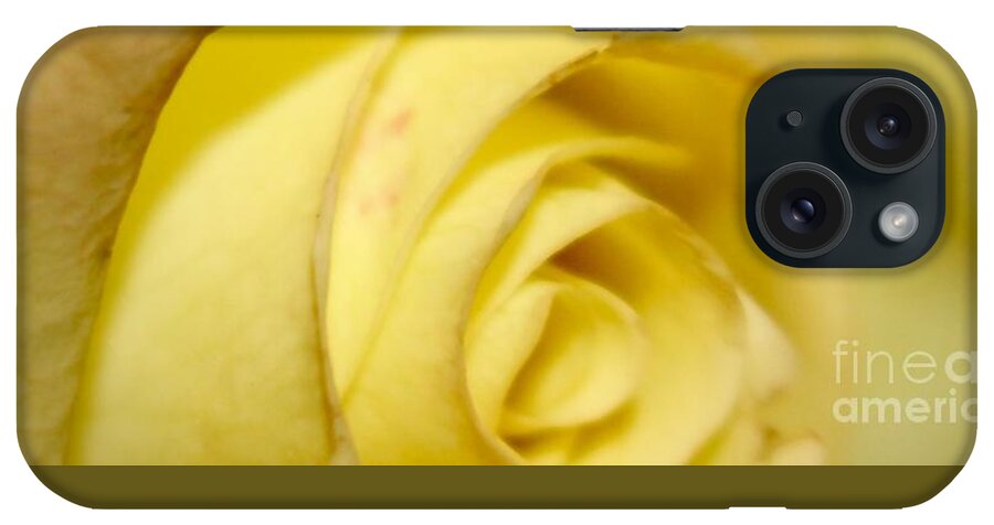 Yellow Rose iPhone Case featuring the photograph Rose by Deena Withycombe