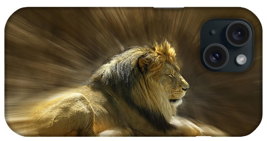 Lion iPhone Case featuring the photograph 4039 by Peter Holme III